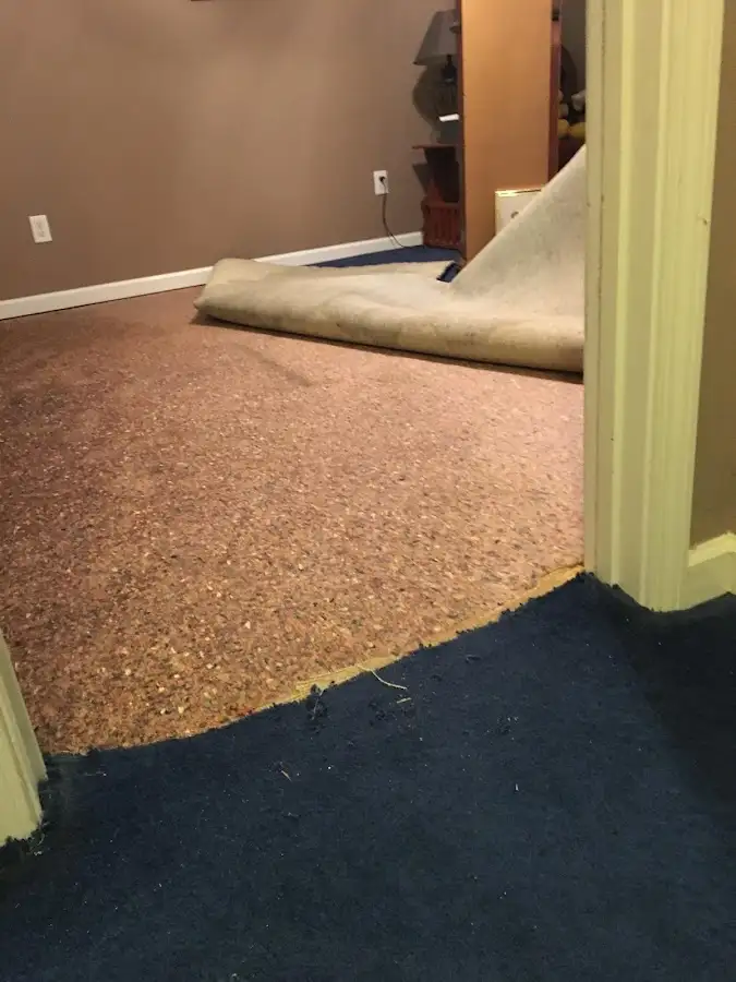 Carpet pad removal revealing water damage during Drying & Dehumidification in Deerfield